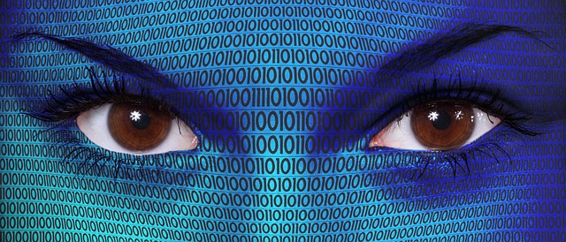 Ottimizzazione Automatica dei Siti Web